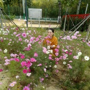 ����������ʵ